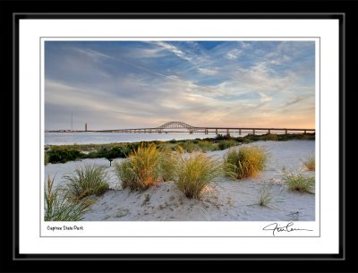 Captree State Park Framed